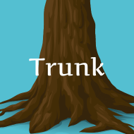 Picture of the trunk of a tree